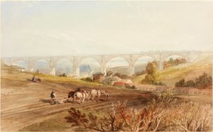 ويلينجتون دين فيادوكت (لون الجسم)